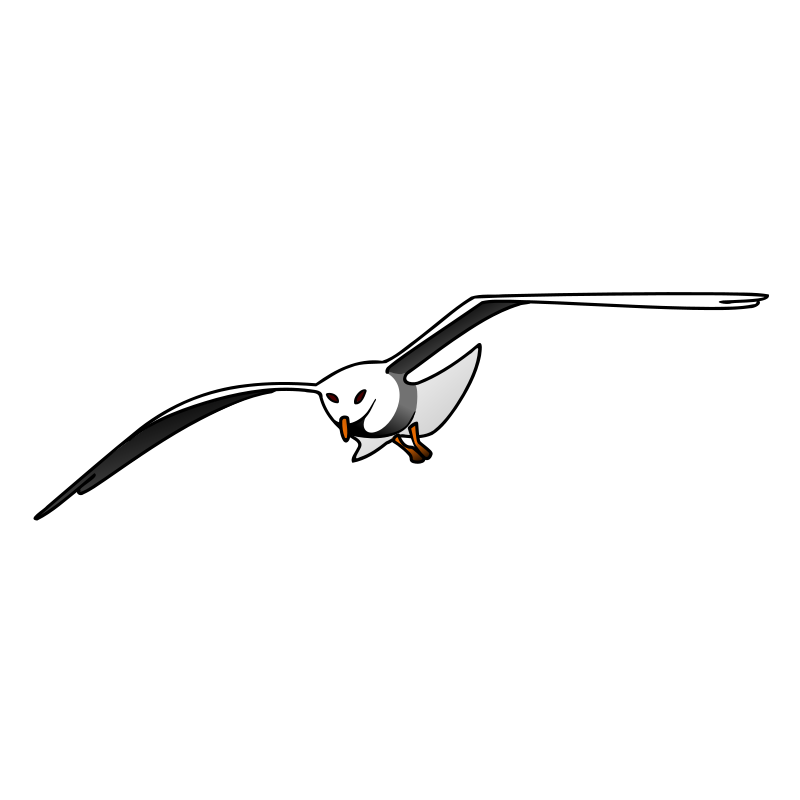 Clipart Seagull