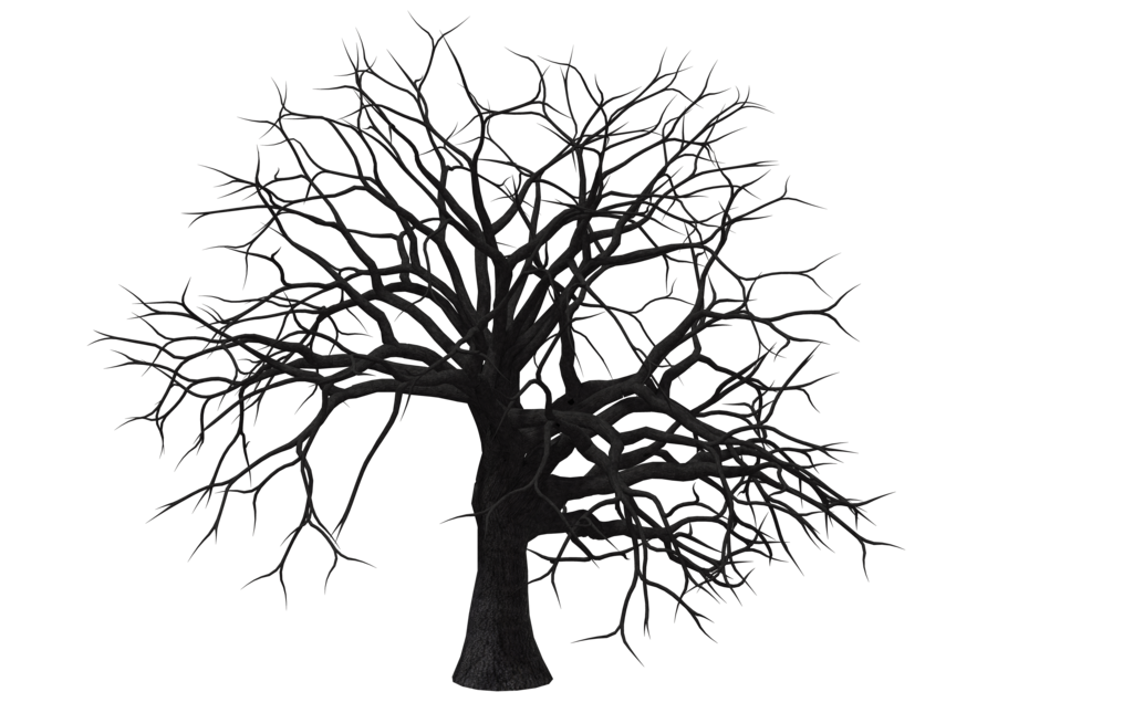 Sumac Tree 01 by Free-Stock-By-Wayne on Clipart library