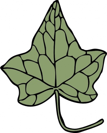 Download Oak Ivy Leaf clip art Vector Free