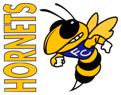Hornet Cartoon Football Images  Pictures - Becuo