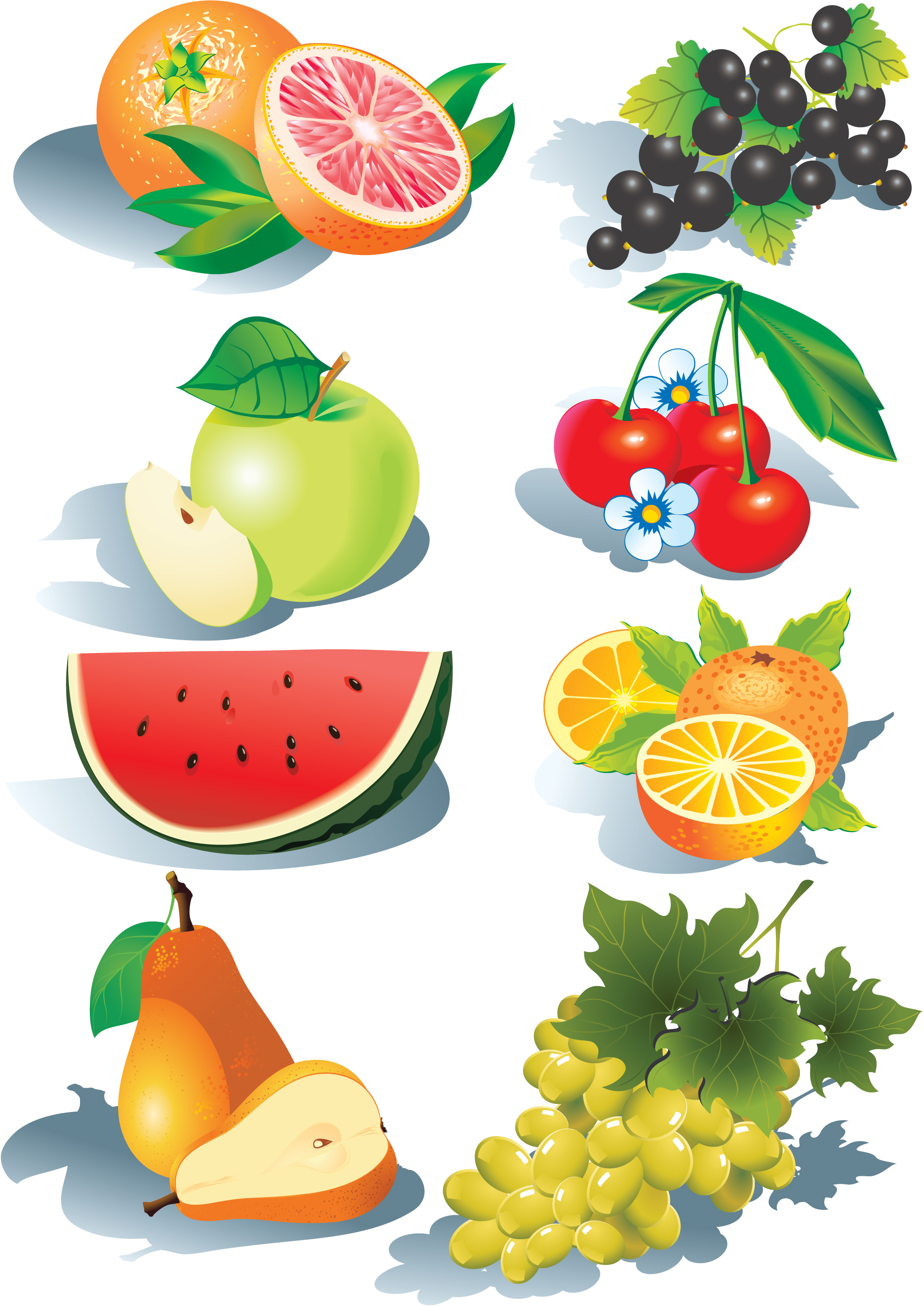 Free Citrus Fruit Vector Graphics Web Fruits Mewarnai