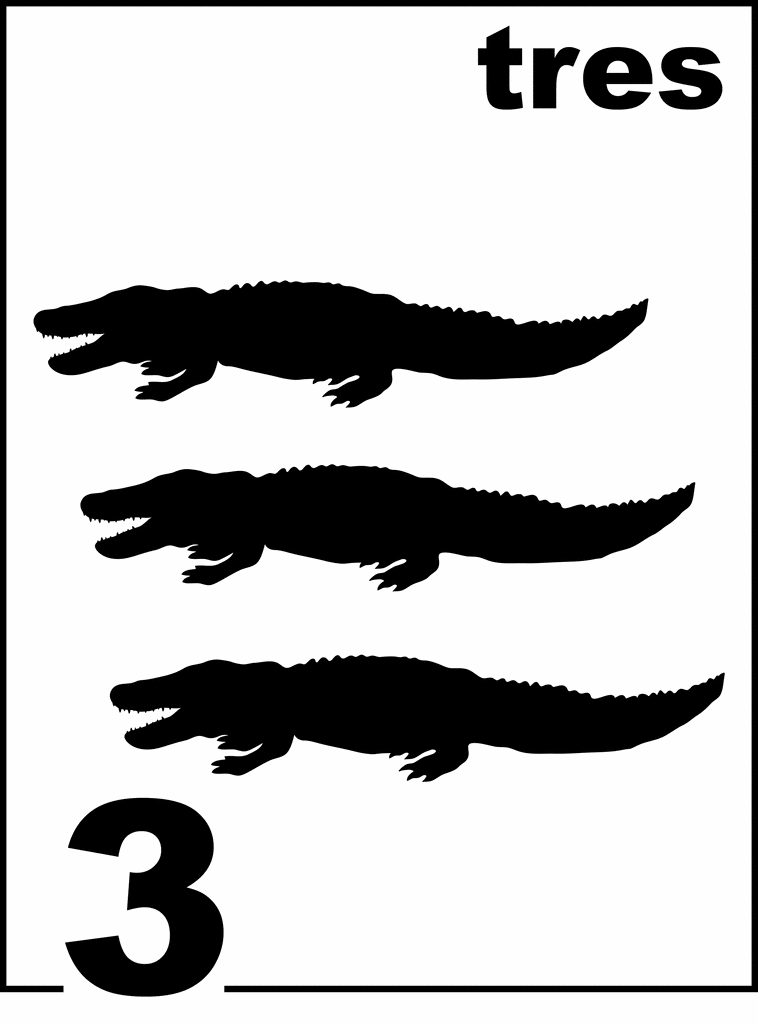 Spanish Alligator Counting Card 3 | ClipArt ETC