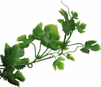 Lucky Reptile Grape Leaf Vine - Terrarium Decor [PLV073] - �4.58 
