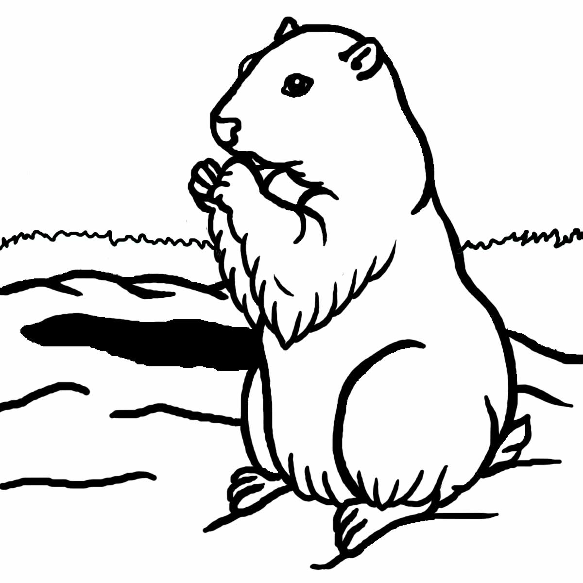 Groundhog Shadow Clipart Images  Pictures - Becuo