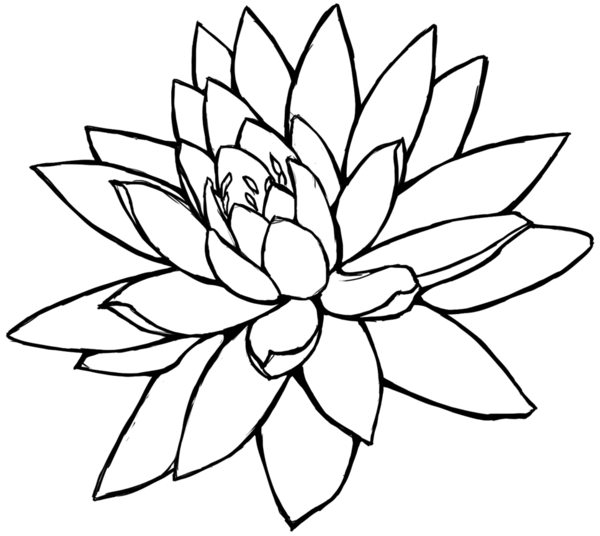 Pencil Design Drawings Flower - Clipart library