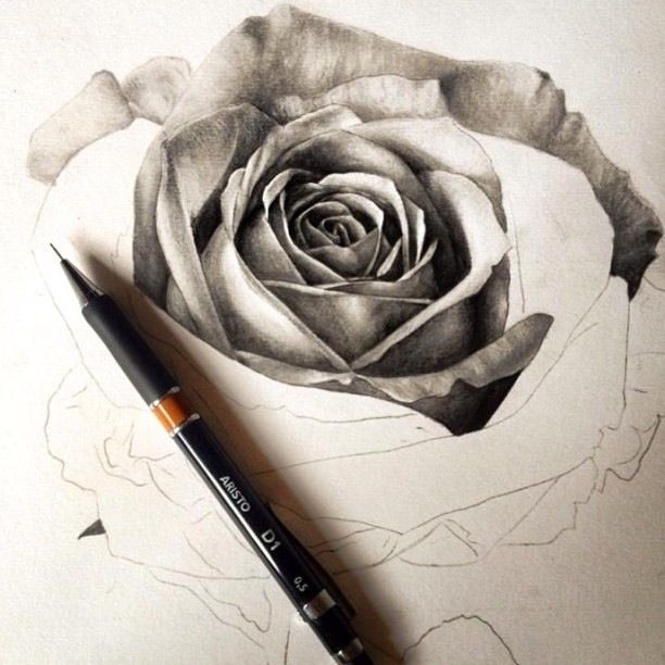 Black and white rose sketch #art #pencil #pen #drawing #realistic 