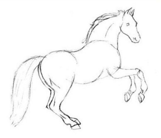 draw a horse step - Clip Art Library