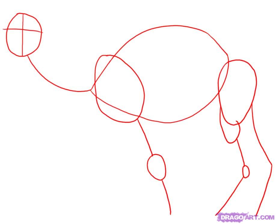 How to Draw a Camel, Step by Step, desert animals, Animals, FREE 