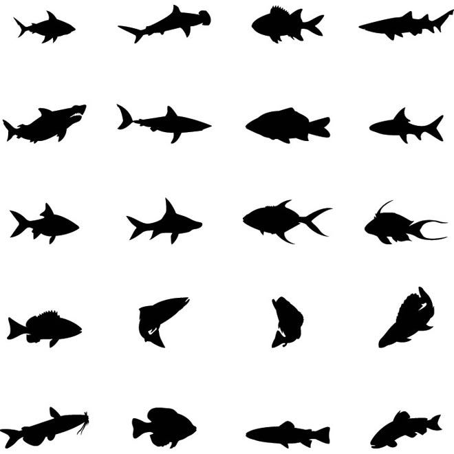 Fishing | Free vector Graphics | Download Free Vector illustration 