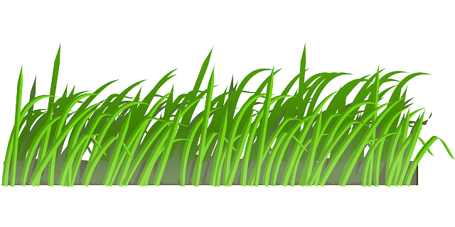 Grass Clipart - Clipart library