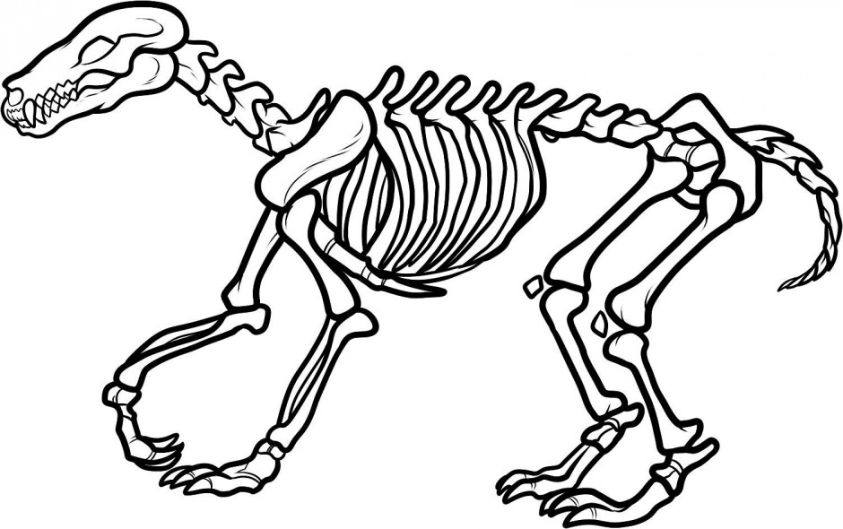 clip art human skeleton - photo #49