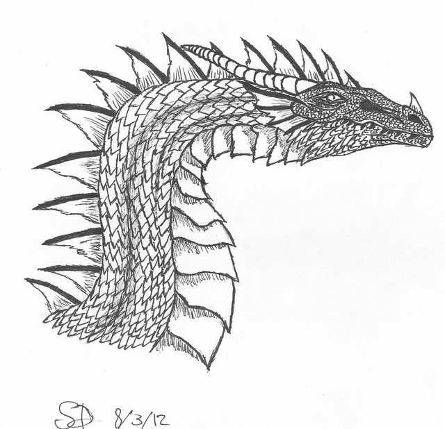 Dragon head line art | Flickr - Photo Sharing!