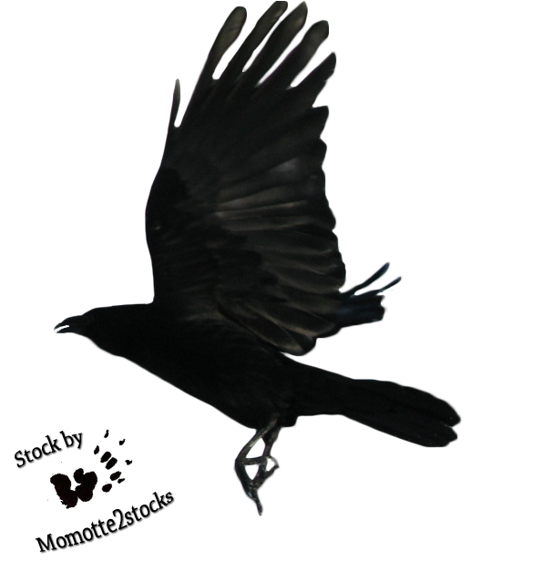 Clipart library: More Like Cut-out stock PNG 18 - flying crow by 