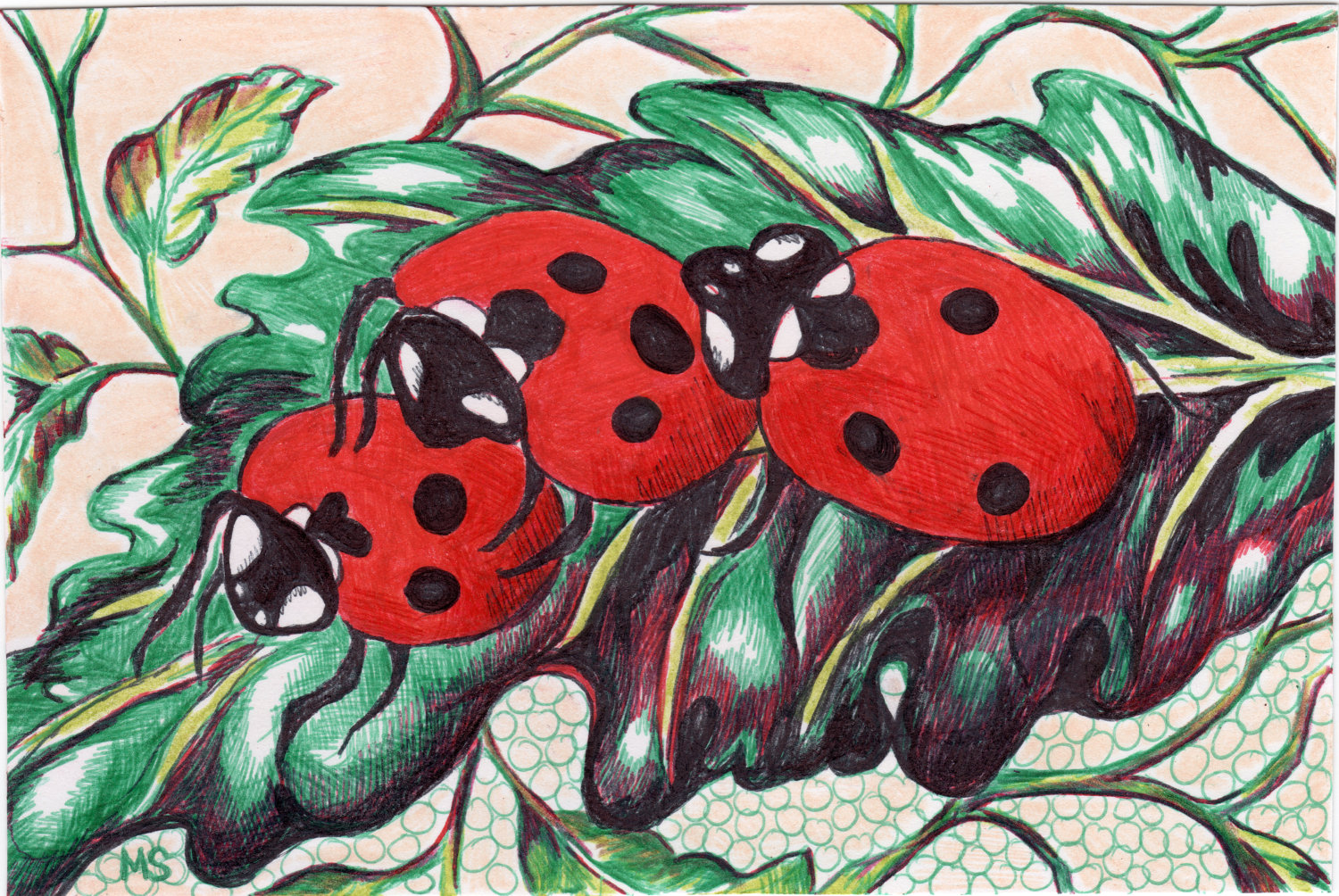 Popular items for ladybug drawing 
