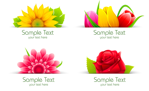 Vector beautiful flowers design set 01 - Vector Flower free download