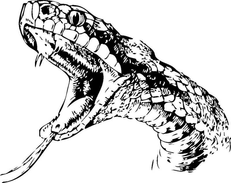 snake head tattoo design - Clip Art Library