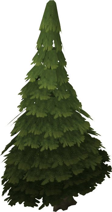 Image - Evergreen tree - The RuneScape Wiki