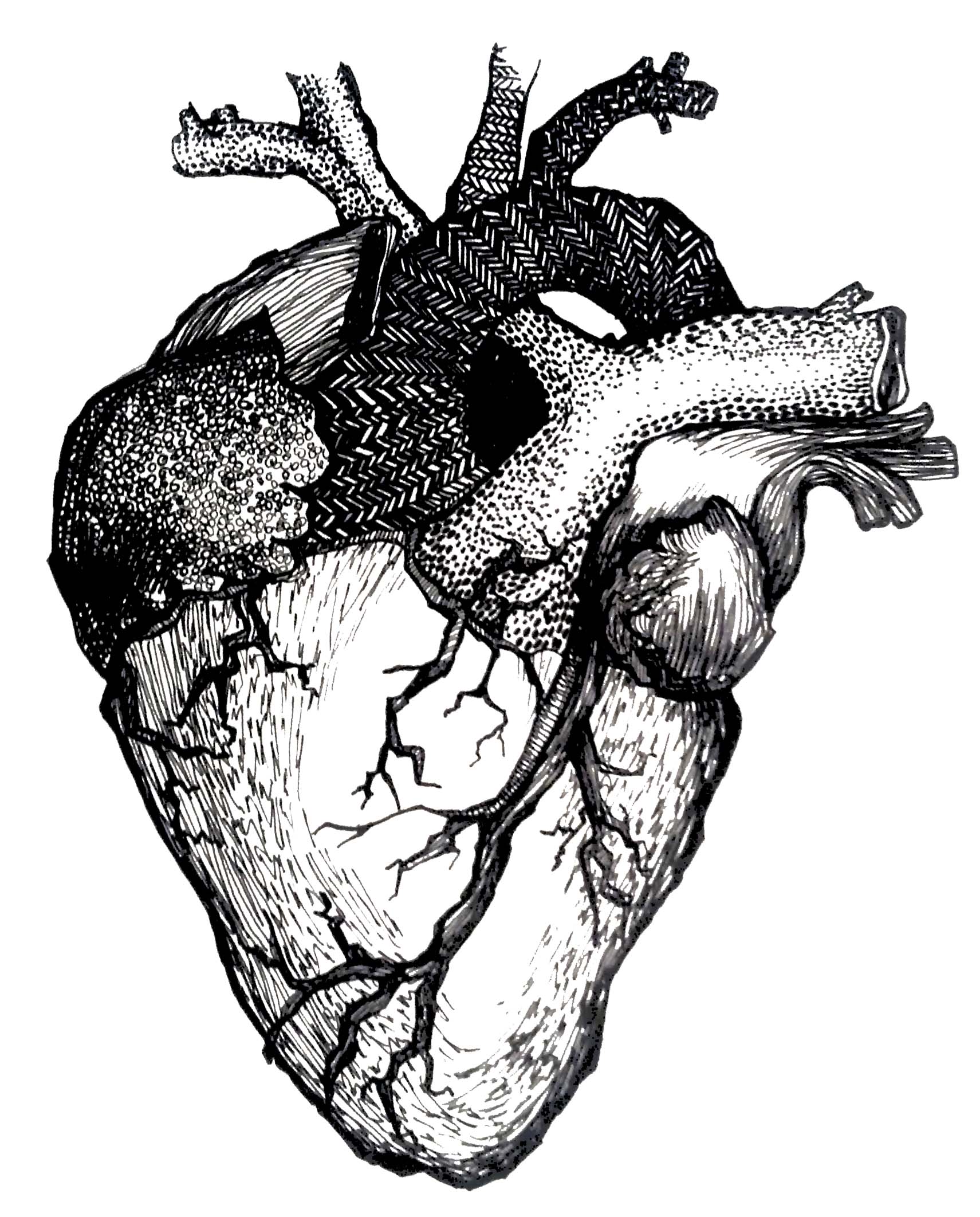 Free HEART DRAWING, Download Free HEART DRAWING png images, Free