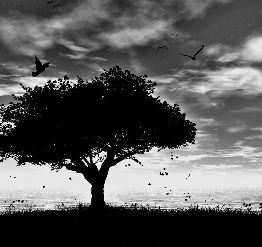 black tree by Schnubii on Clipart library