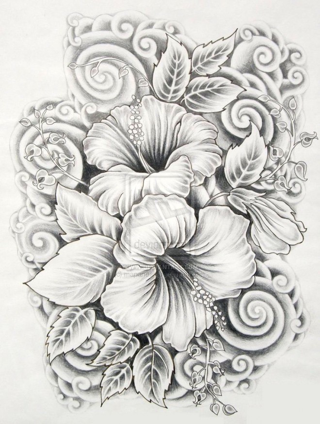 Free Drawing Pictures Of Flowers, Download Free Drawing Pictures Of