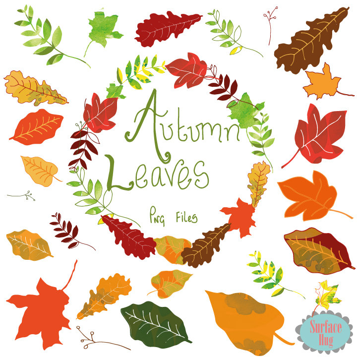Popular items for leaf clipart on Etsy