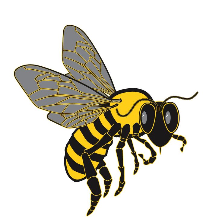 clipart pictures of honey bees - photo #17