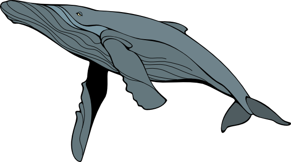 Humpback Whale Clip Art | Clipart library - Free Clipart Images