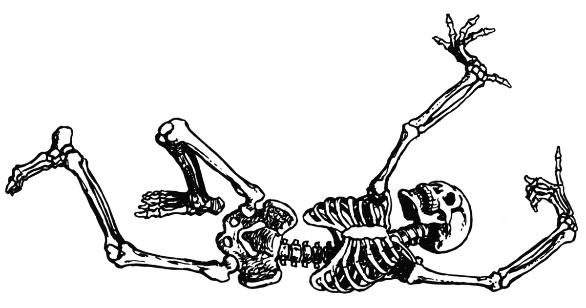 Dancing Skeleton Clipart Images  Pictures - Becuo