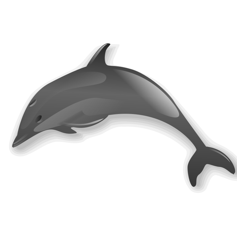 Dolphin Enrique Meza C 02 Clip Art Download