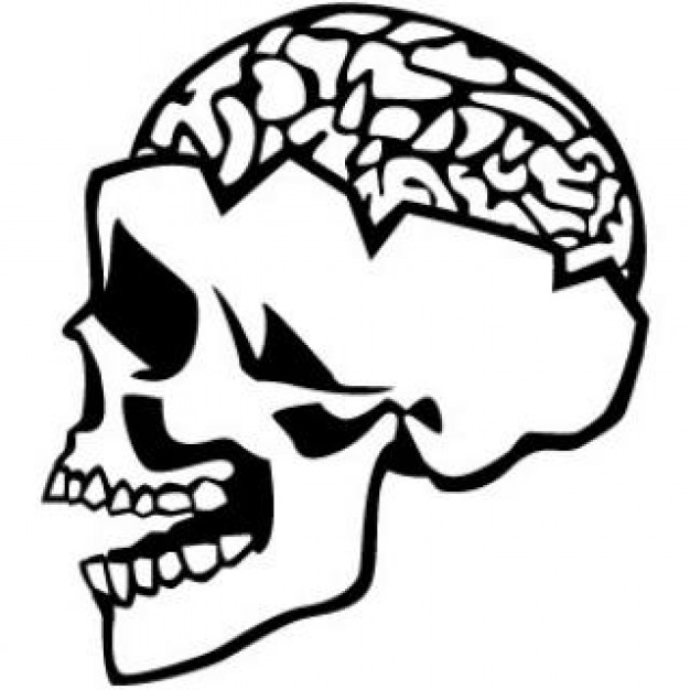 open skull and brain illustration Photo | Free Download