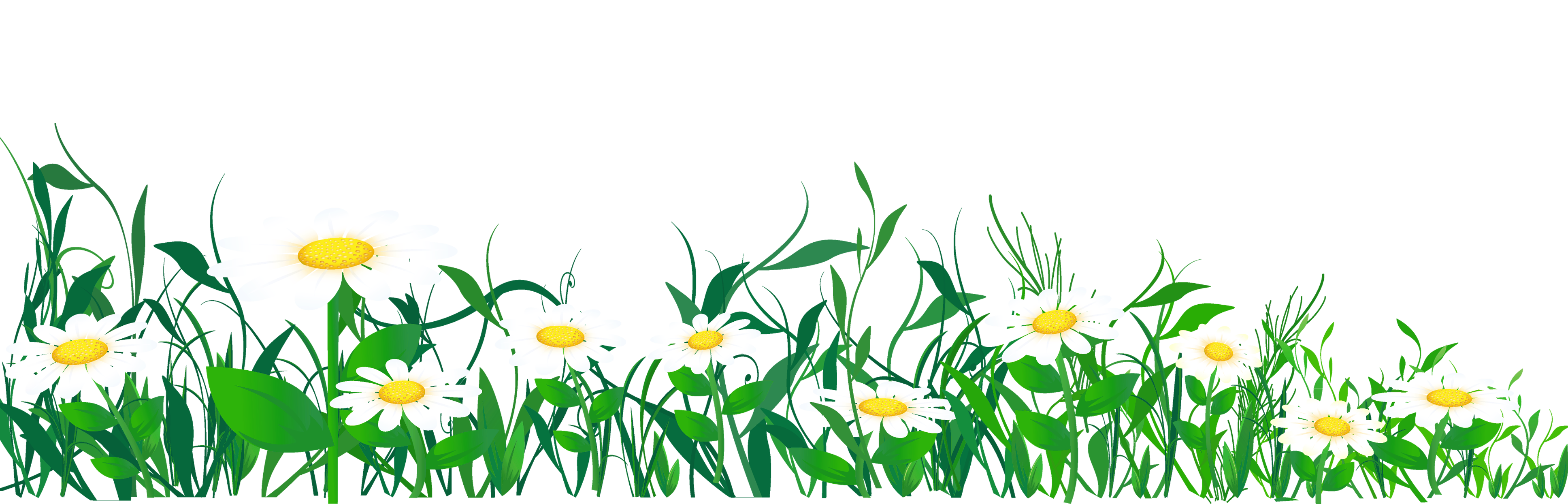 daisy clipart png - photo #29
