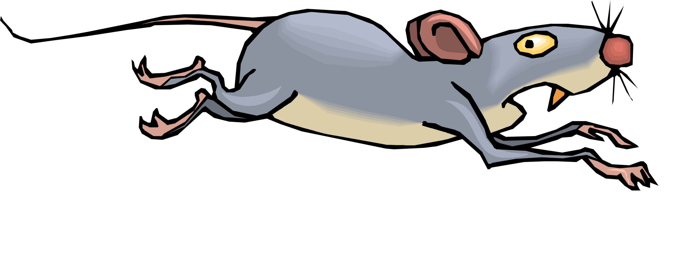 Cartoon Mouse Picture - Clipart library