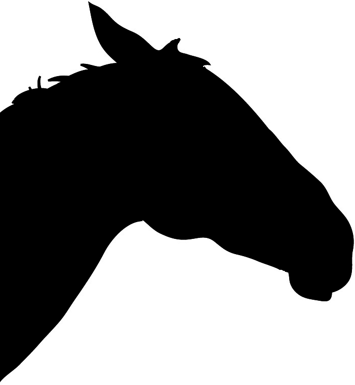 Horse Silhouette