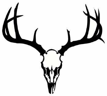 Deer Skull image - vector clip art online, royalty free  public 