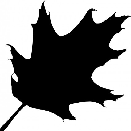 Oak leaf Free vector for free download (about 25 files).