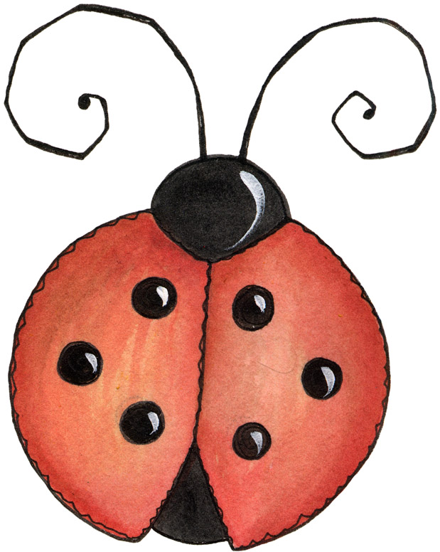 Ladybug Pencil Drawing 