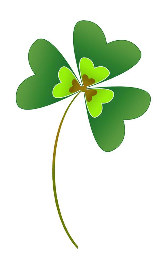 Pin Shamrock Next Picture Gallery To Pinterest