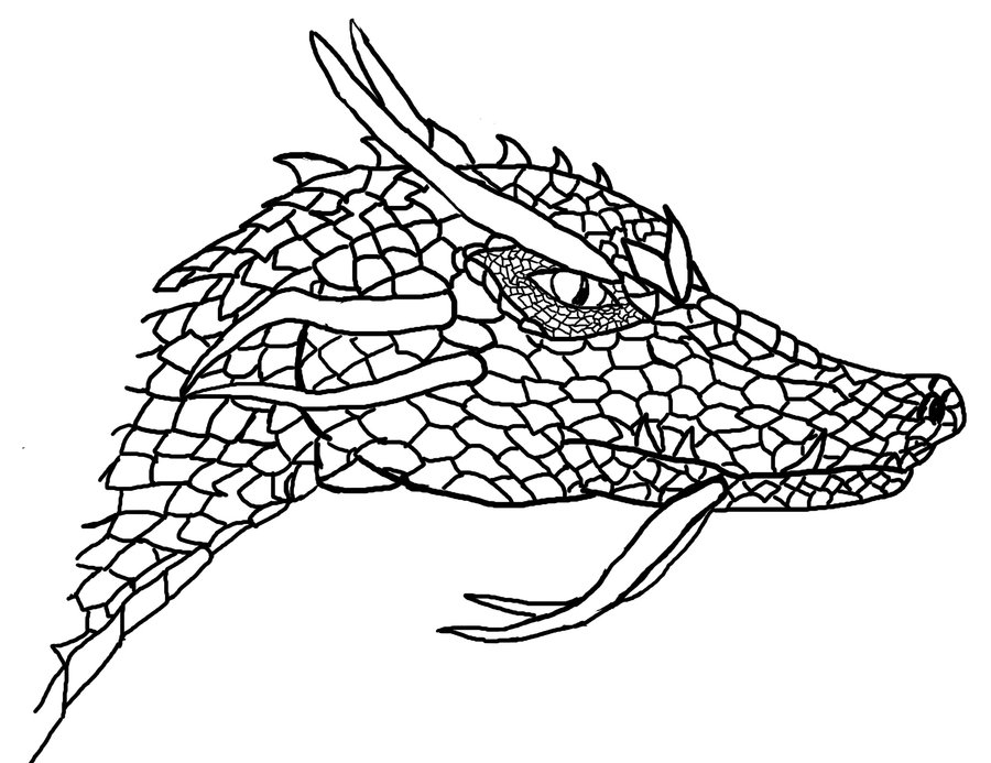 Simple Dragon Head Drawings Images  Pictures - Becuo