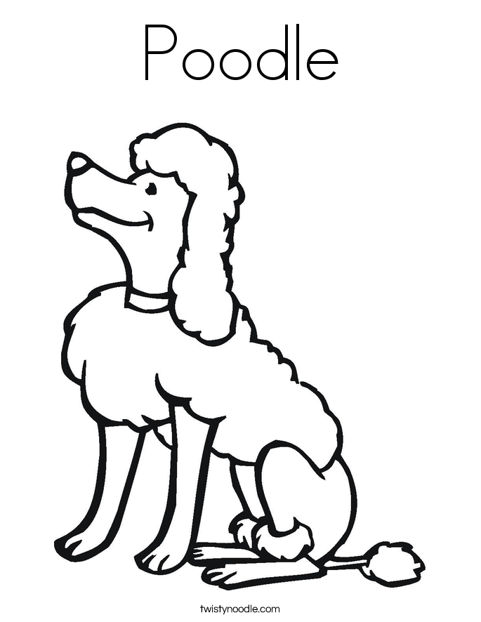 Gallery For  Poodle Drawing Outline