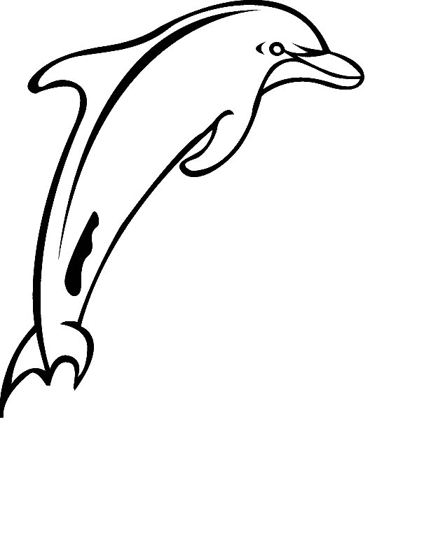Baby Dolphin Coloring Pages