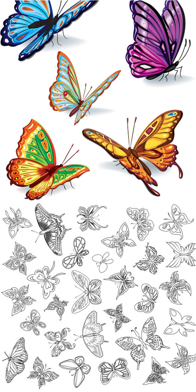 Butterflies | Vector Graphics Blog - Page 2