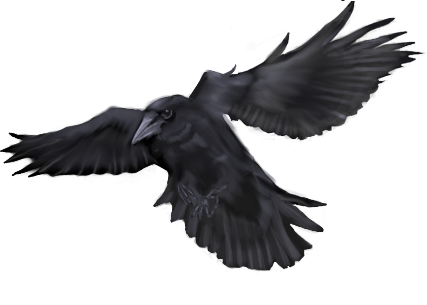 Flying Crow by 1two3four5six7 on Clipart library