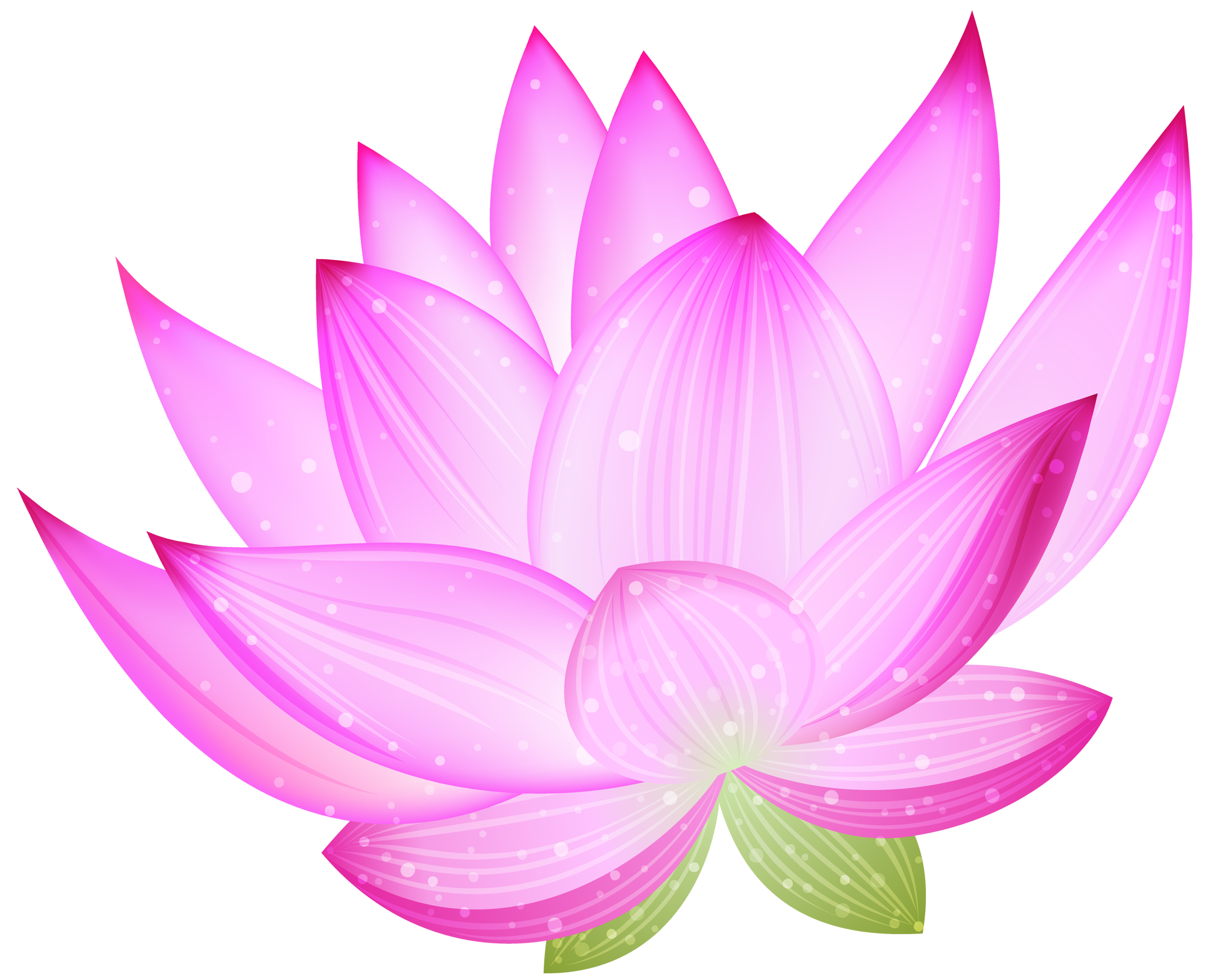 Free Lotus Flower Transparent Background, Download Free Lotus Flower  Transparent Background png images, Free ClipArts on Clipart Library