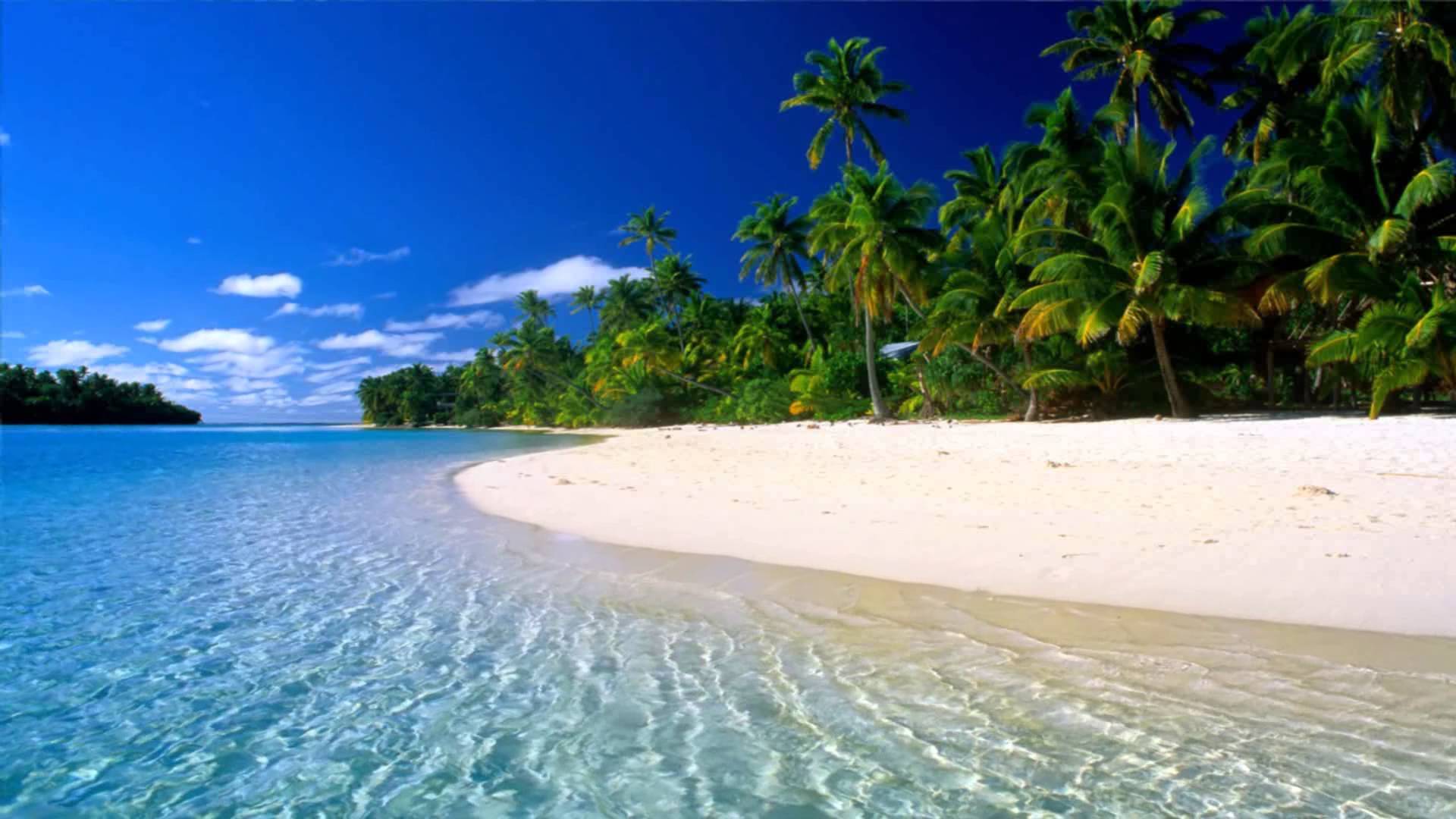 Free Animated Beach Download Free Animated Beach Png Images Free Cliparts On Clipart Library