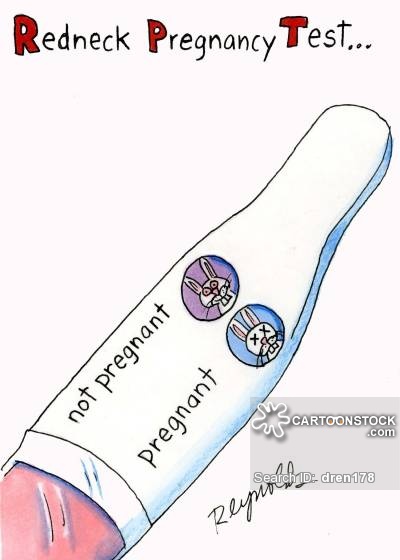 pregnancy test funny cartoon - Clip Art Library