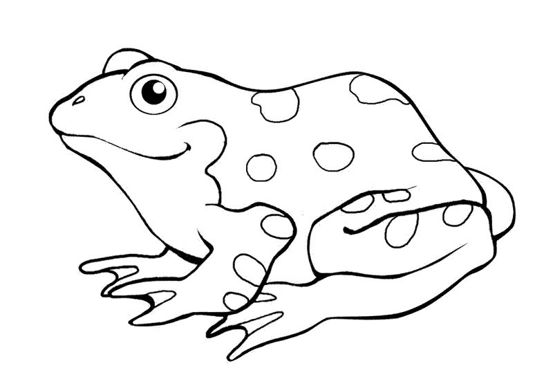 colouring pages of frog - Clip Art Library