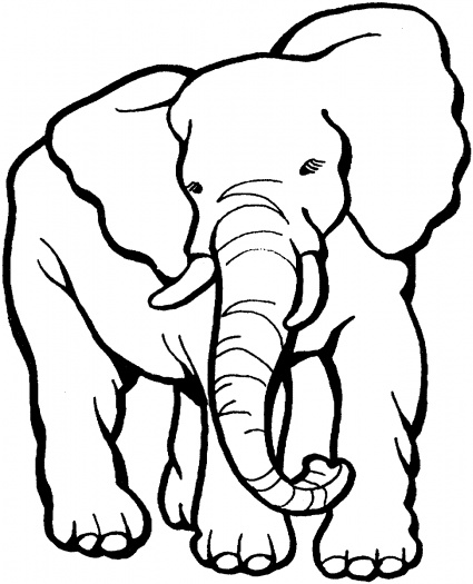 Printable Pictures Of ElephantsJlongok Printable | Jlongok Printable