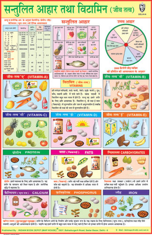 Daily Diet Chart In Hindi