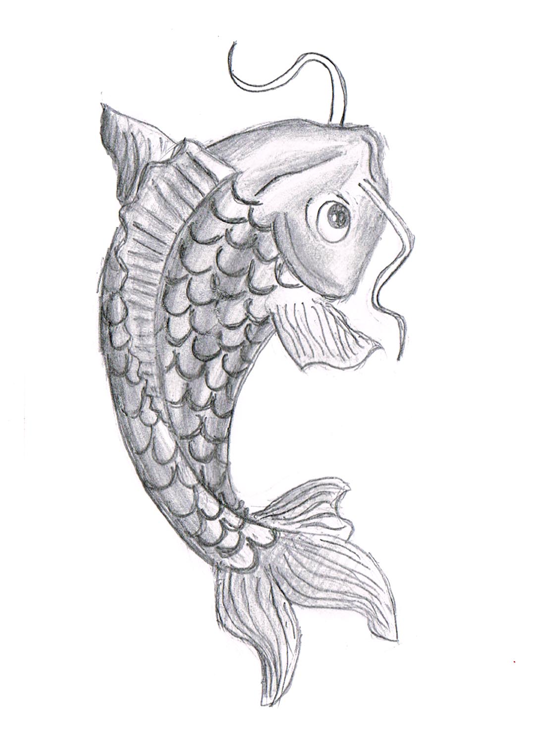 Free Fish Drawings, Download Free Fish Drawings png images, Free