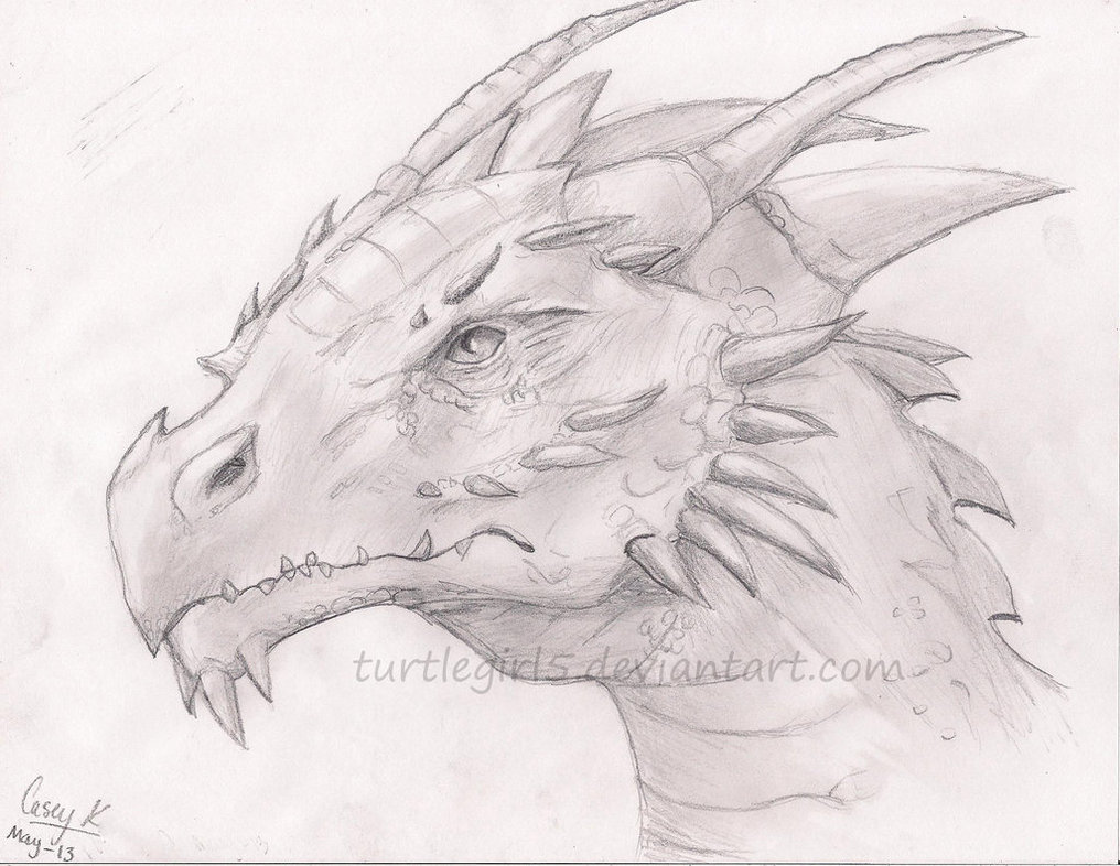 Featured image of post Realistic Dragon Drawing Outline Chris started drawing as a young boy and